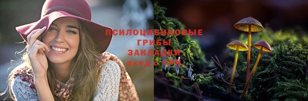 МДПВ Красноперекопск