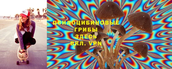 МДПВ Красноперекопск
