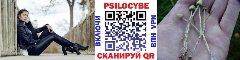 Галлюциногенные грибы MAGIC MUSHROOMS  купить наркотики сайты  ОМГ ОМГ ССЫЛКА  Миллерово 